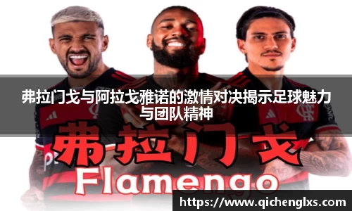 弗拉门戈与阿拉戈雅诺的激情对决揭示足球魅力与团队精神